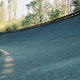 Illustration for article titled Italian Grand Prix at Monza Through the Ages